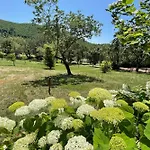 Exclusive Spoleto Country Park Pool Park Activities Mountain View Sleeps 28 *