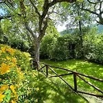 Vila Exclusive Spoleto Country Park Pool Park Activities Mountain View Sleeps 28
