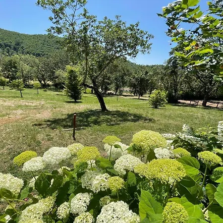 Spoleto Country Park Sleeps 30 *