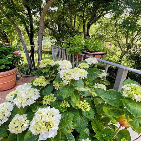 ヴィラ Exclusive Spoleto Country Park Pool Park Activities Mountain View Sleeps 28 *