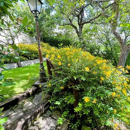 ヴィラ Exclusive Spoleto Country Park Pool Park Activities Mountain View Sleeps 28