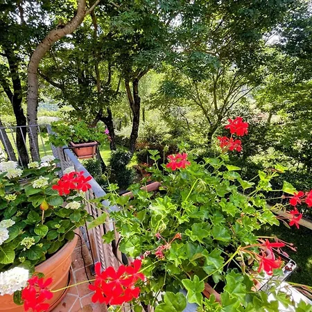 Exclusive Spoleto Country Park Pool Park Activities Mountain View Sleeps 28 Vila
